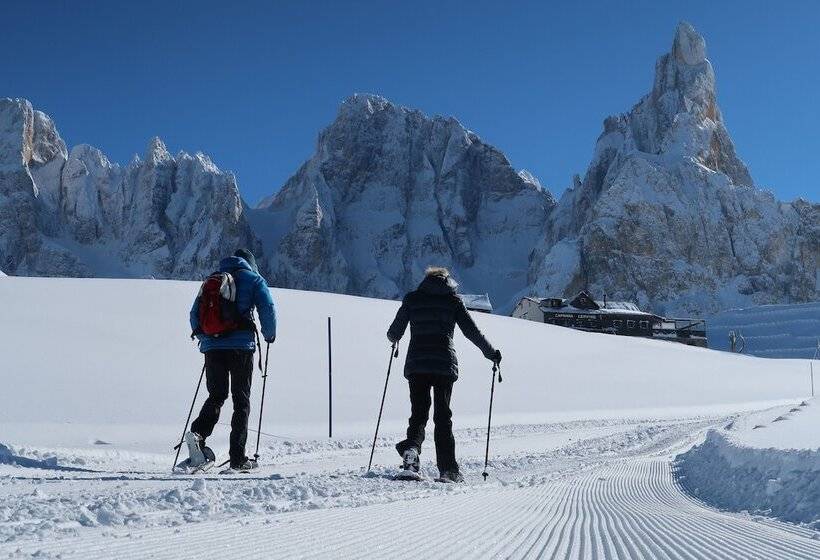 Color Home Suite Apartments