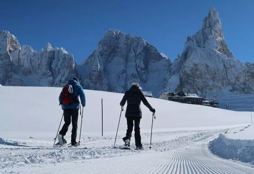 Color Home Suite Apartments