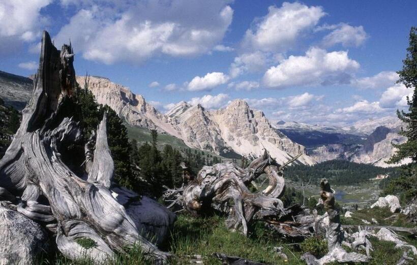 Dolomites Apartments Ciasa Vally