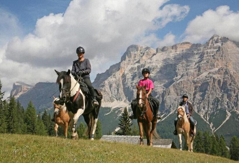 Dolomites Apartments Ciasa Vally