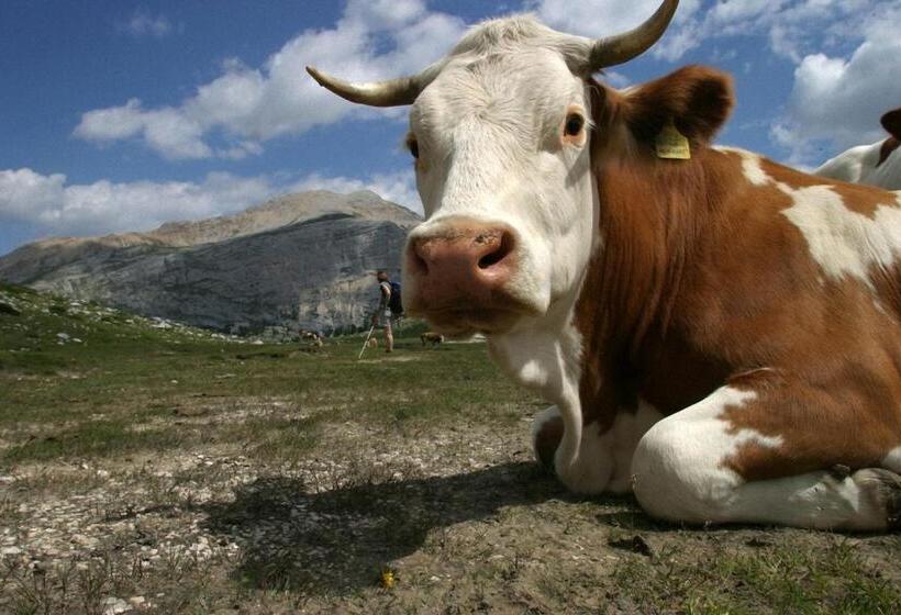 Dolomites Apartments Ciasa Vally