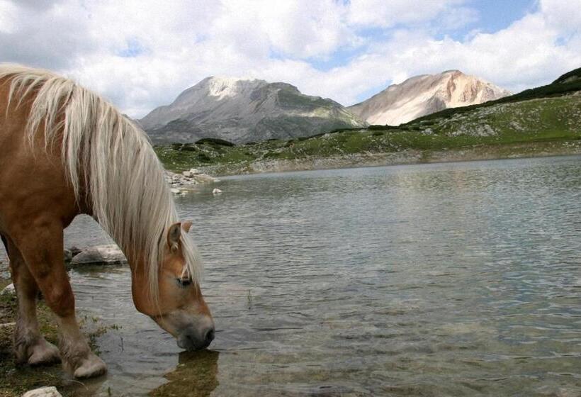Dolomites Apartments Ciasa Vally