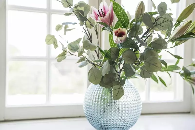 Halmstad Hotell & Vandrarhem Kaptenshamn