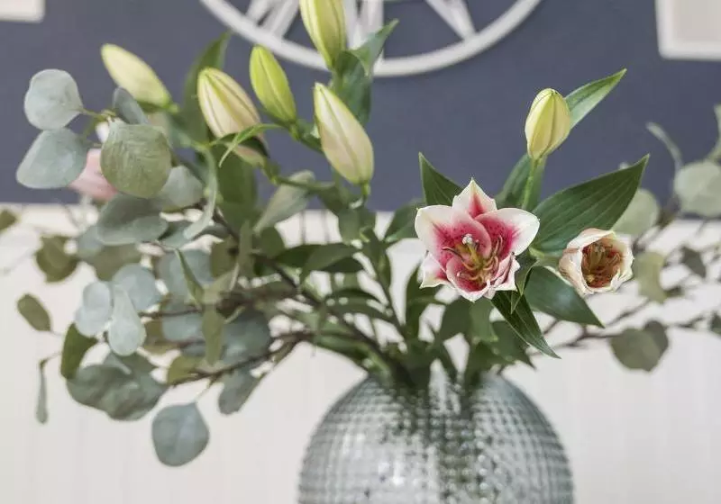 Halmstad Hotell & Vandrarhem Kaptenshamn