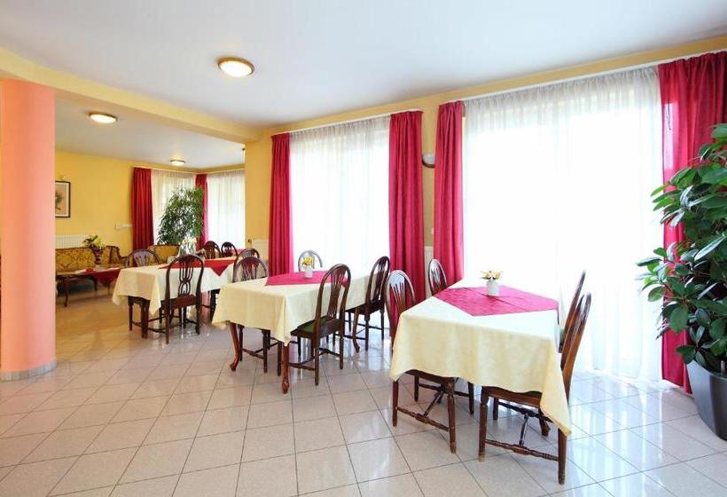 ペンション Balazs Villa