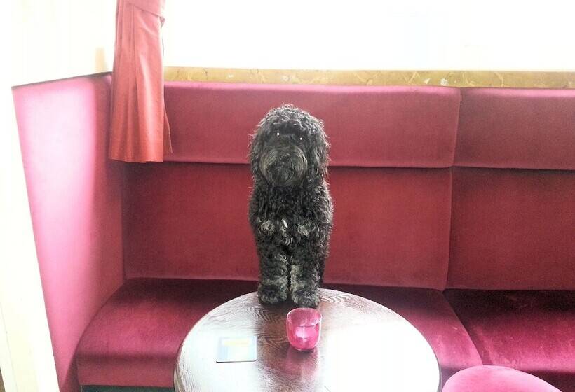 بنسيون Bow Street Runner