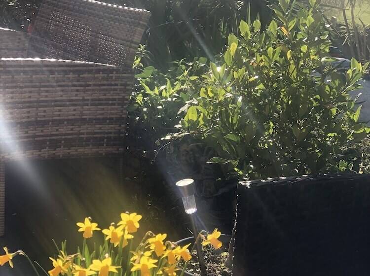 Pension (Hôtel basse catégorie) The Westbank