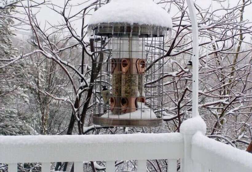 旅馆 Auberge Cap Aux Corbeaux