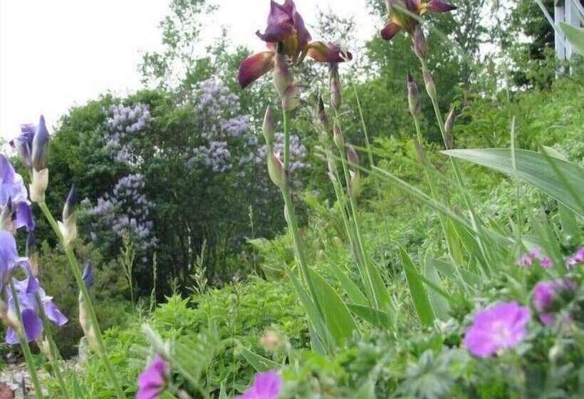 旅馆 Auberge Cap Aux Corbeaux