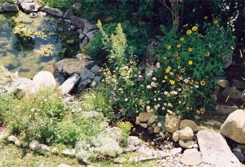 旅馆 Auberge Cap Aux Corbeaux