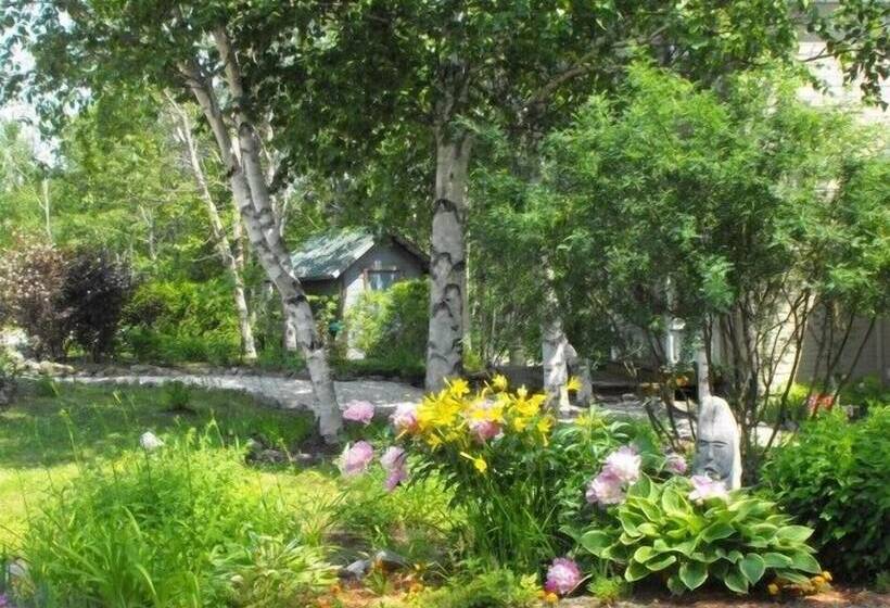 旅馆 Auberge Cap Aux Corbeaux