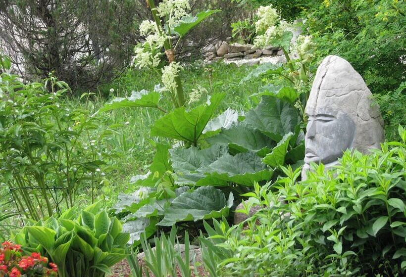 旅馆 Auberge Cap Aux Corbeaux