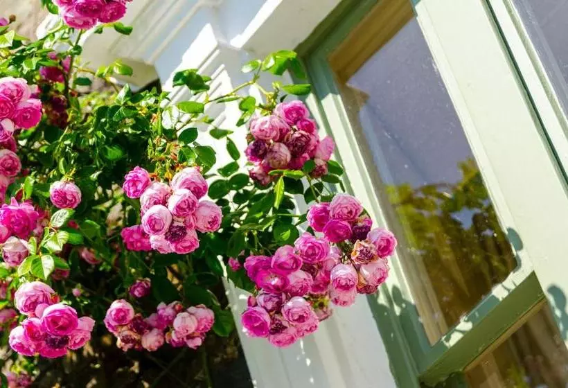 ユースホステル Eltermere Inn