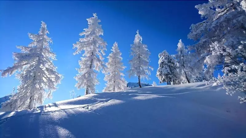 Retkeilymaja Gasthaus Maislau