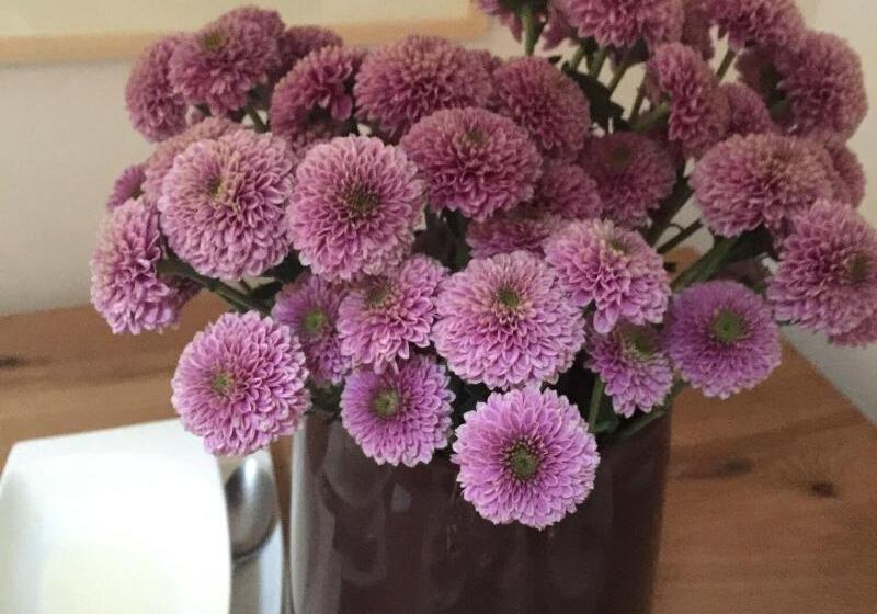 فندق صغير Gasthaus Maislau