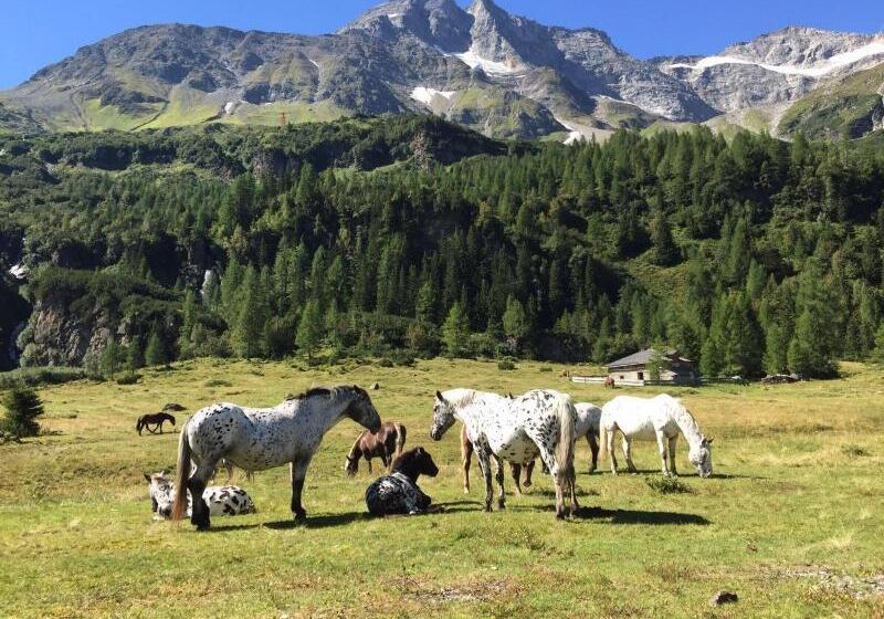 فندق صغير Gasthaus Maislau