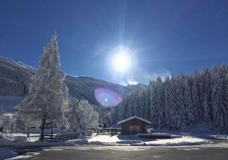 فندق صغير Gasthaus Maislau