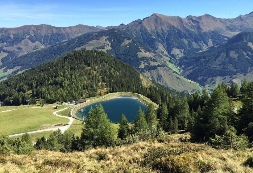 فندق صغير Gasthaus Maislau