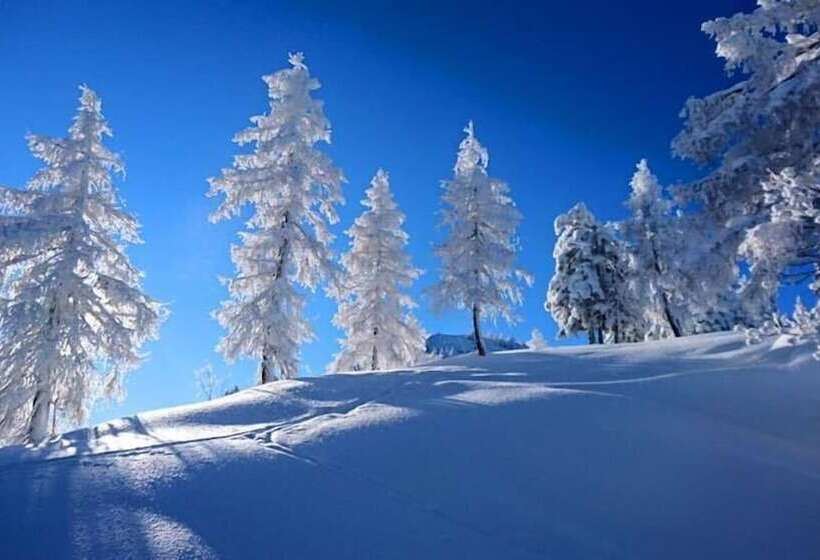 فندق صغير Gasthaus Maislau