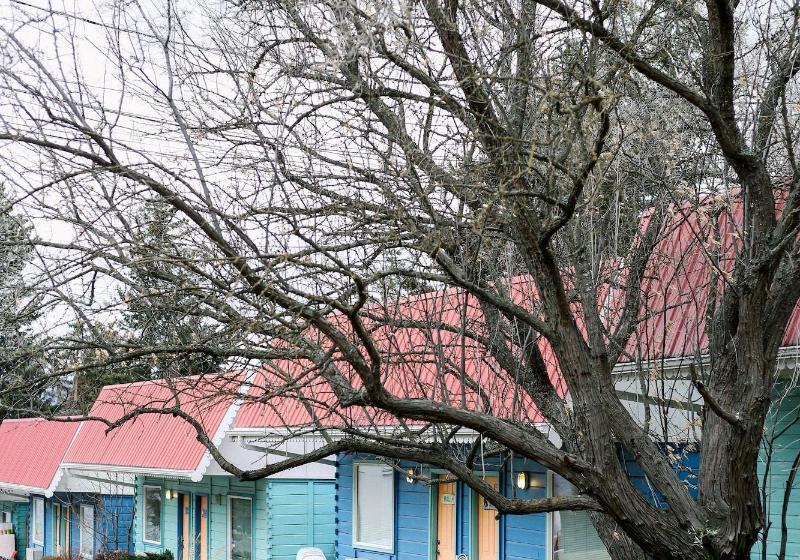 ユースホステル The Islander Inn