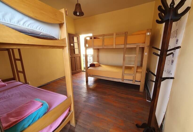 Econunay Hostels