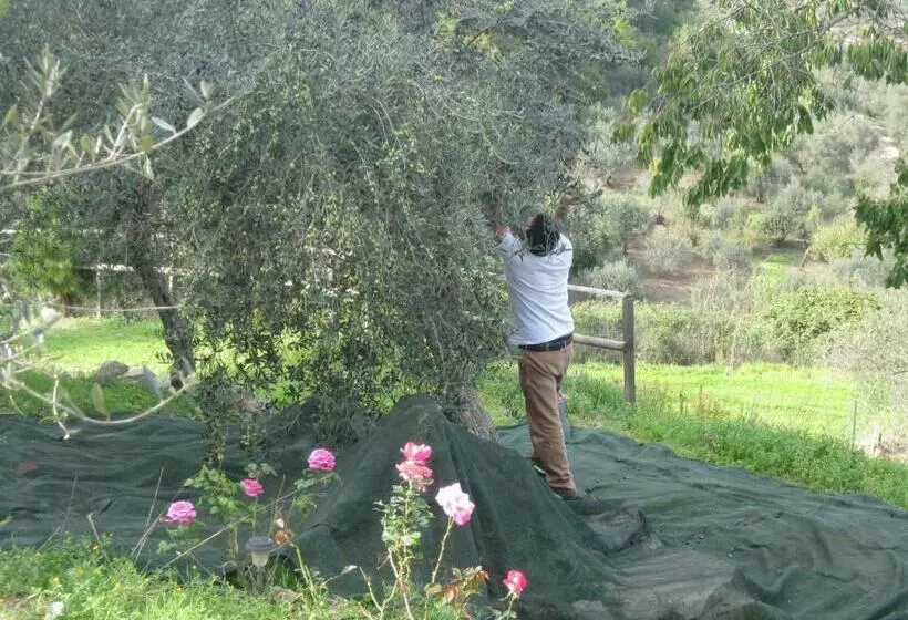 ホテル Agriturismo Al Poggetto