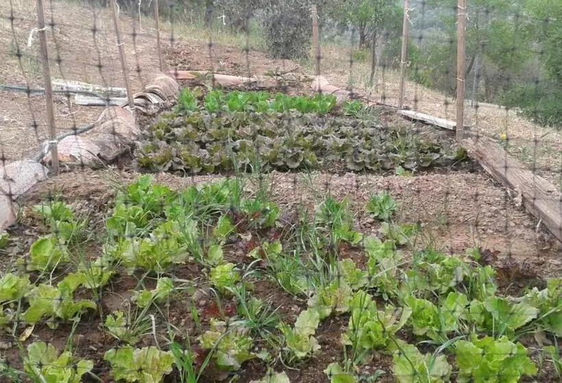 ホテル Agriturismo Al Poggetto