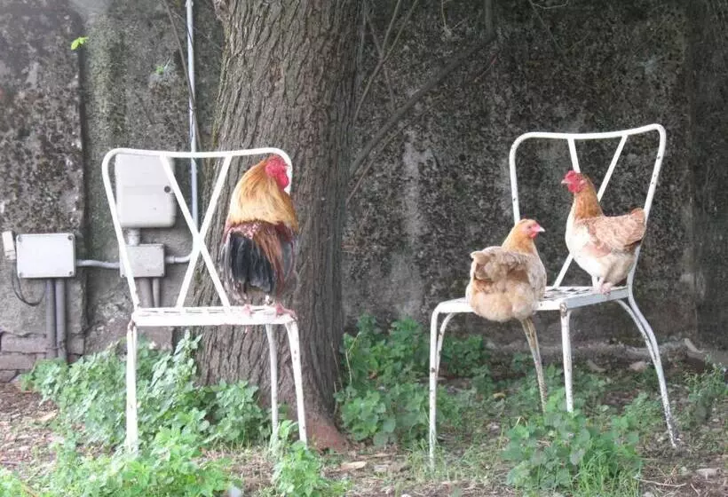 Hotelli Agriturismo Corte Virgiliana