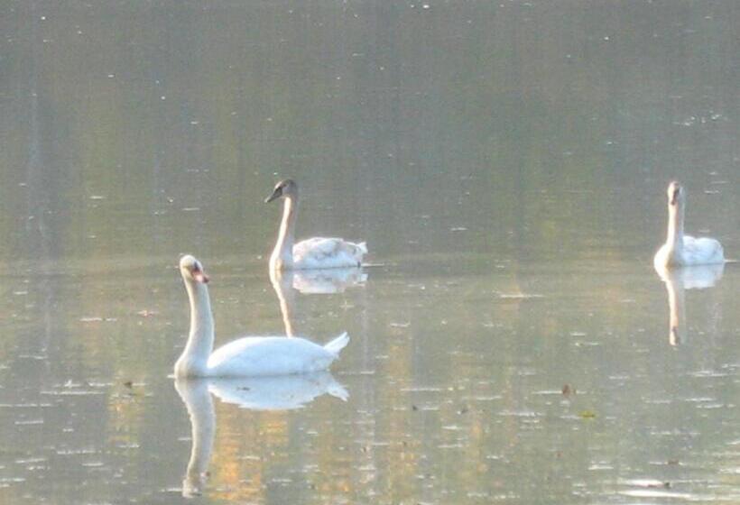 호텔 Agriturismo Corte Virgiliana