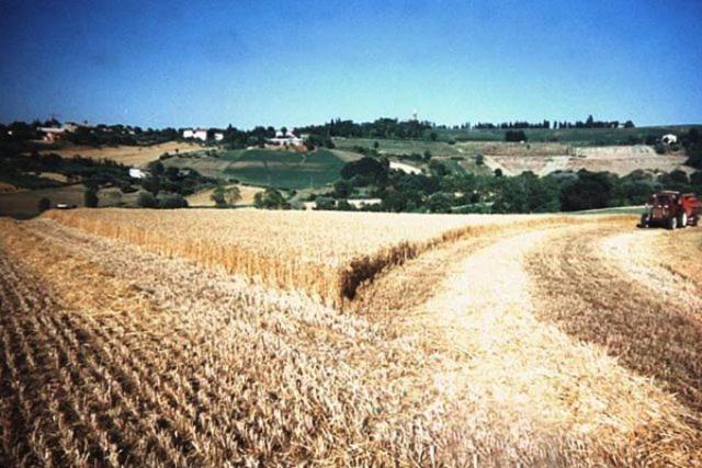 ホテル Agriturismo Il Mio Casale