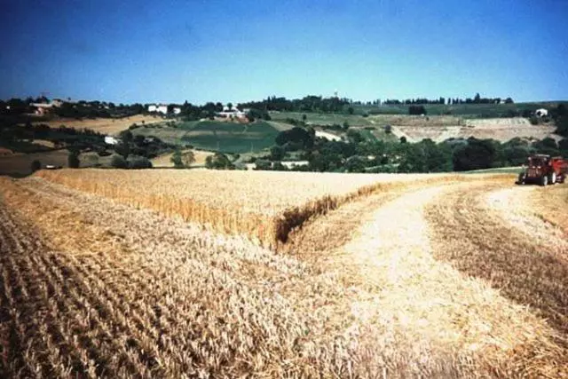هتل Agriturismo Il Mio Casale