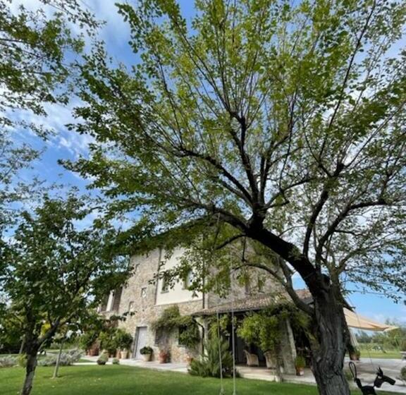 Massoni Bed And Breakfast