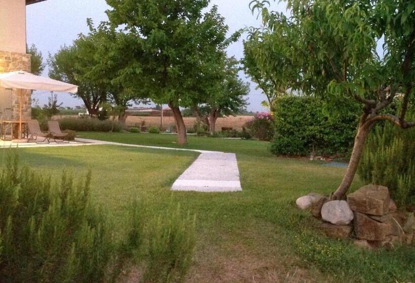 Massoni Bed And Breakfast