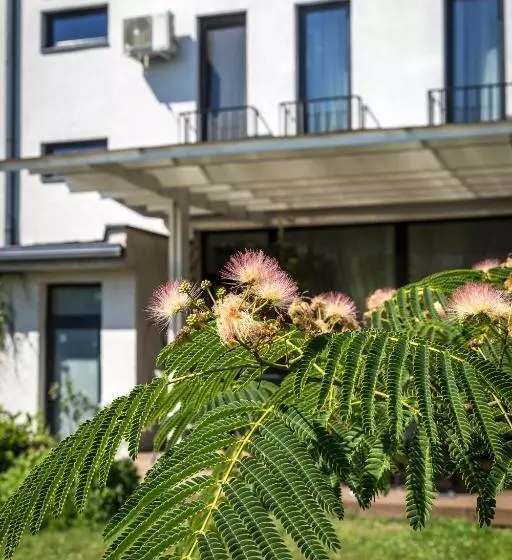 پانسیون May Residence