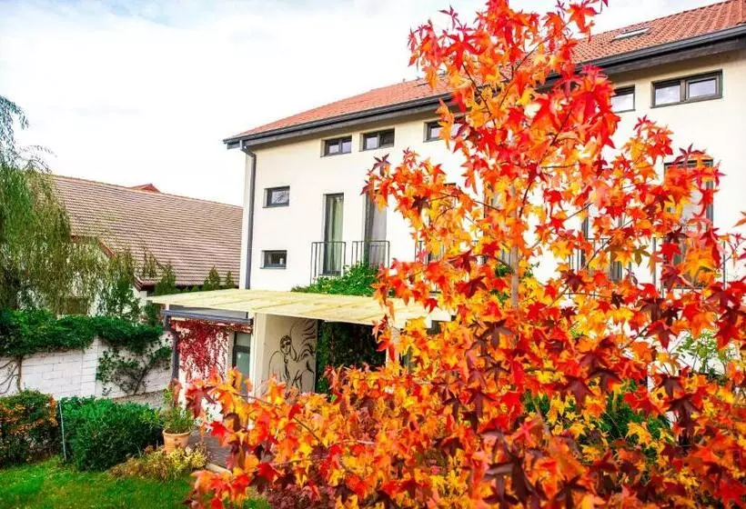 پانسیون May Residence