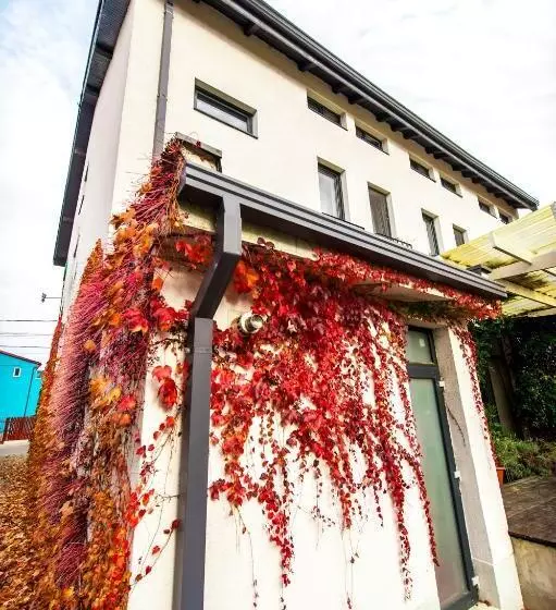 پانسیون May Residence