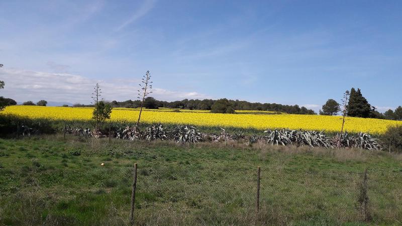 Пансион Pensio L'avi Pep