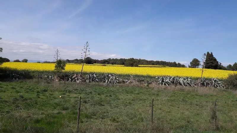 Majatalo Pensio L'avi Pep