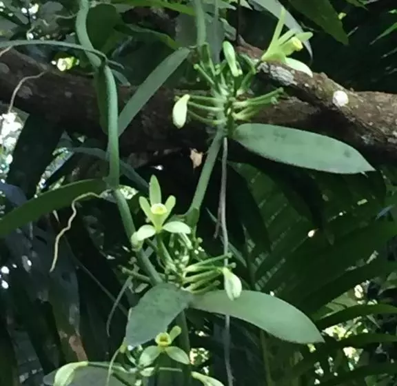 ペンション Villa Ma Rasai