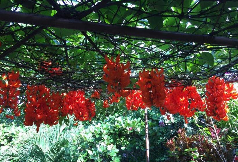 بنسيون Villa Ma Rasai