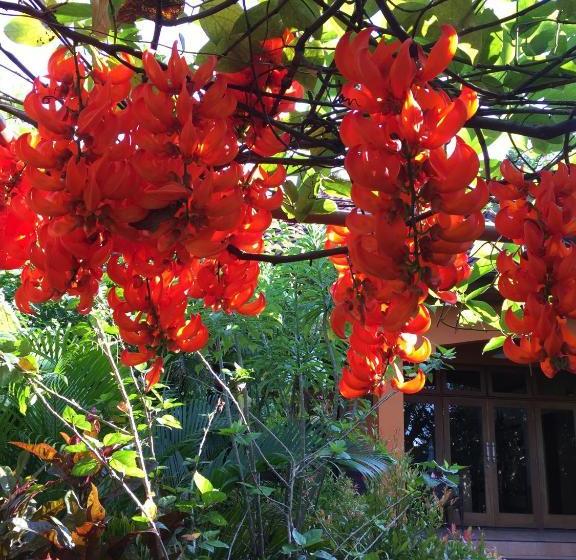 بنسيون Villa Ma Rasai