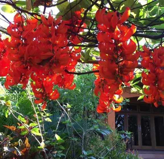 ペンション Villa Ma Rasai