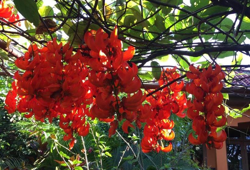 بنسيون Villa Ma Rasai