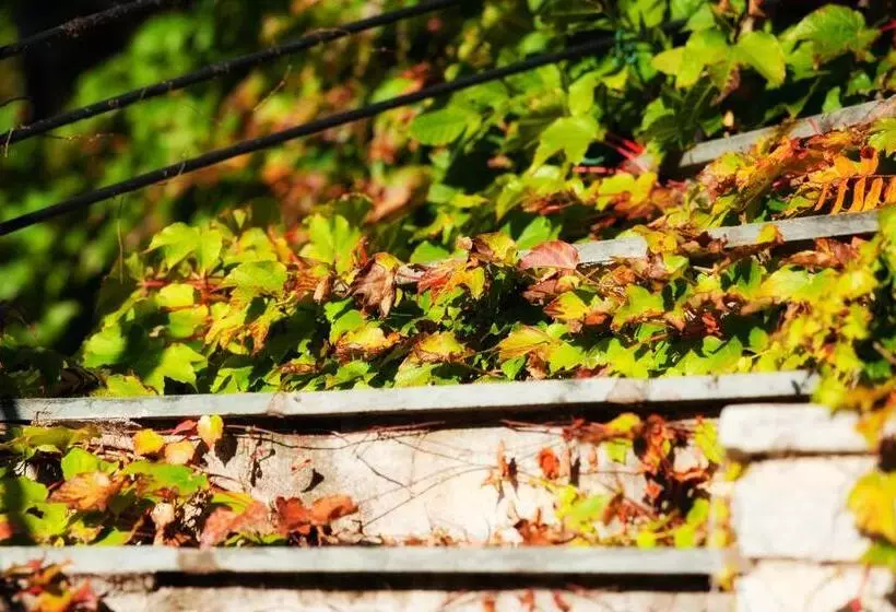 Apartments Tirolerhof