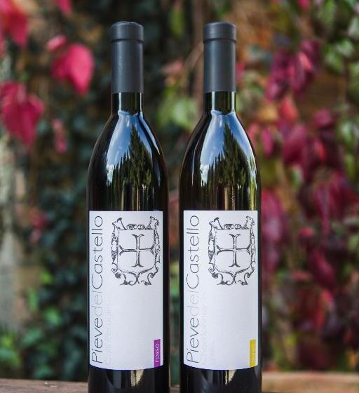 בית מלון כפרי Pieve Del Castello