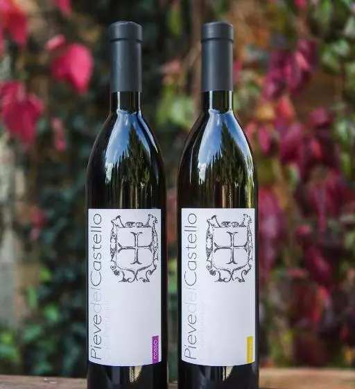 Hotelli Pieve Del Castello