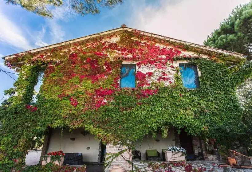 Hotelli Pieve Del Castello