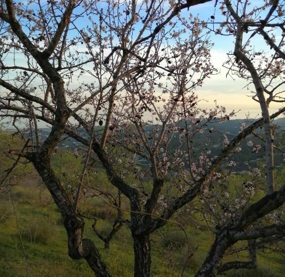 بنسيون La Venta Del Arriero