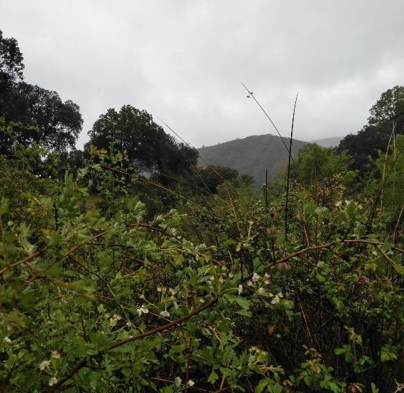 بنسيون La Venta Del Arriero