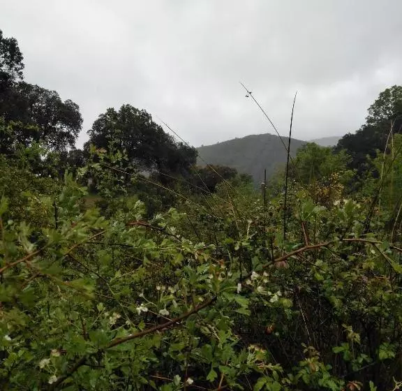 Majatalo La Venta Del Arriero